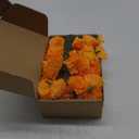 Hananona 50 Pcs Marigold Flower Heads Bulk, Silk Marigolds with Stems Artificial Mexican Flowers for Diwali Day of The Dead Dia De Los Muertos Ofrenda Decor (Orange)