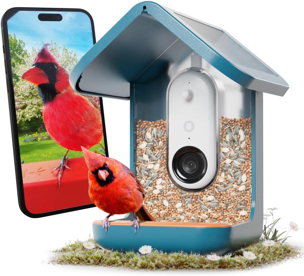 Birdbuddy PRO Solar Smart Bird Feeder with Camera - AI Bird Species Identification, 5MP Photos, 2K HD Video Live Stream Camera, Slow-Motion Video, 2.6in Focus - Blue Solar