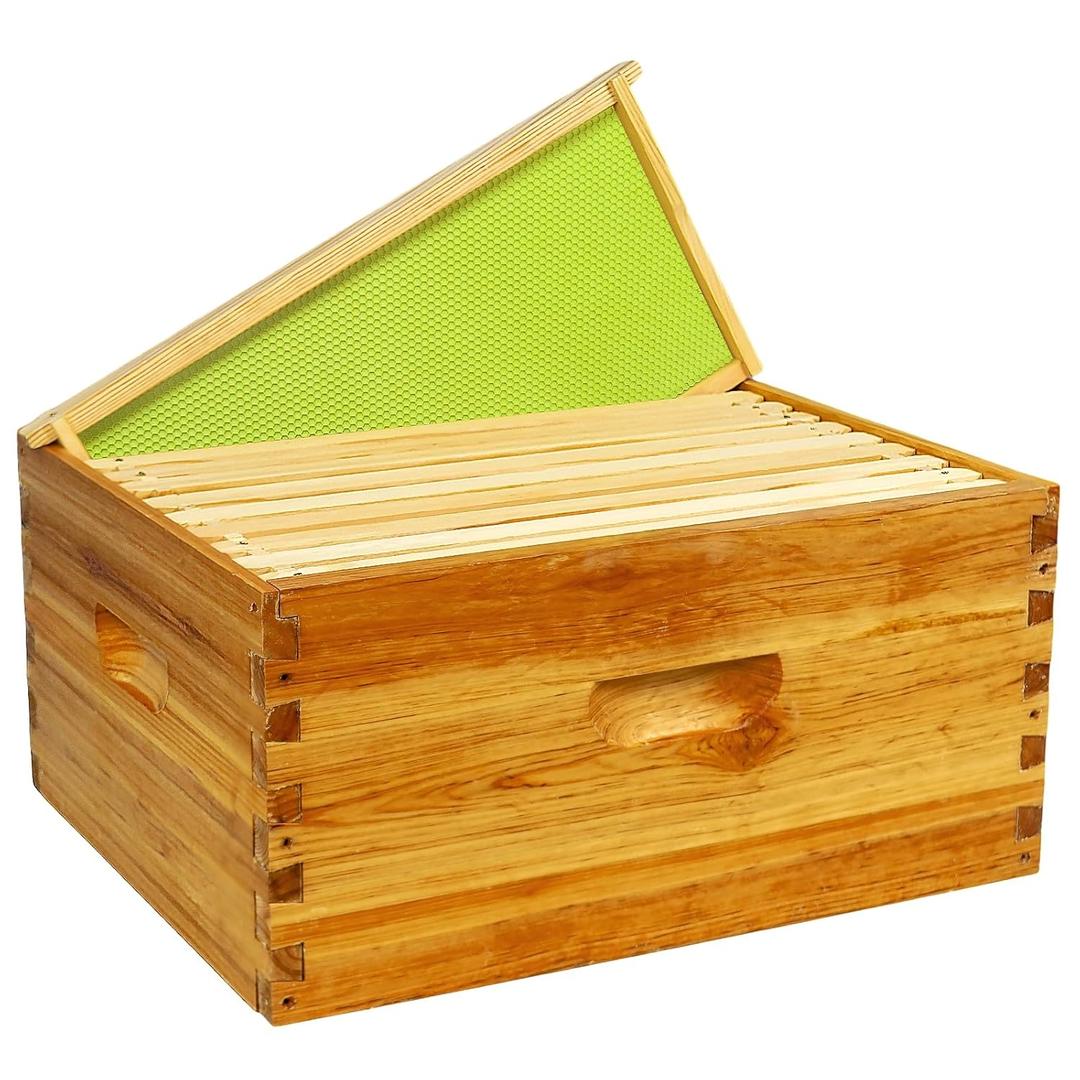 10 Frame Deep Brood Box Langstroth Bee Hive Box | 10 Pack, Unassembled 100% Dipped in Beeswax, Thickness 20 Mm, Include Beehive Frames and Wax Foundations