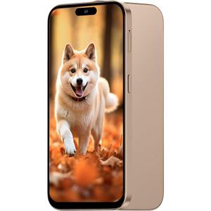 Unlocked 3G Mobile Phone, 6.6-inch Screen 16GB ROM (SD to 128GB), Dual SIM Dual Cameras, Android 10.0 OS, Face ID Cell Phones (Gold)