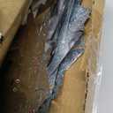 Hausse 10 Pack Reflective Pinwheels with Stakes (Assembly Required), Extra Sparkly Pin Wheel for Garden Decor, Bird Repellent Devices Deterrent to Scare Birds Away from Yard Patio Farm (Silver)