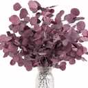 Real Eucalyptus Stems 20PCS Dried Preserved Eucalyptus - Fresh Eucalyptus Silver Dollar Leaves for Shower - Red Branches for Wedding Home Party Vase Filler Fall Decor