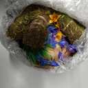 Crested Gecko Tank Accessories，Reptile Vines Plants with Coconut Shell Ladder Hideout Hermit Crab Decor for Bearded Dragon Lizard Chameleon Tortoise Snake