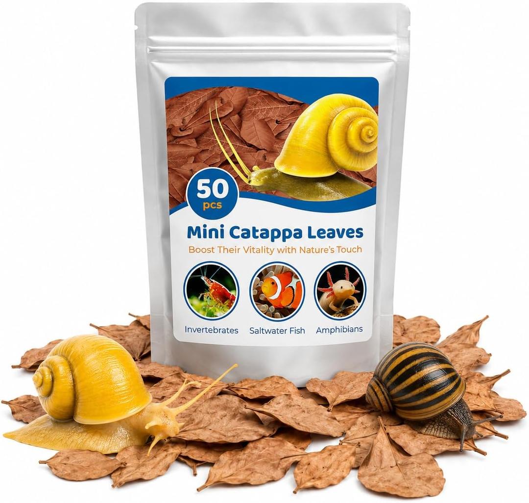 SunGrow 50 Pack Catappa Indian Almond Leaves for Snails and Crayfish, Mini Raw Dried Leaf for Fish Tank Aquarium, Maintains pH Levels