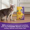 Meow Mix Original Choice Dry Cat Food, 3.15 Pound (Pack of 4) (EXP 10/31/27)