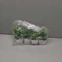 Der Rose 4 Pack Fake Plants Mini Artificial Greenery Potted Plants for Home Decor Indoor Office Table Room Farmhouse Bathroom Decor (Grey)