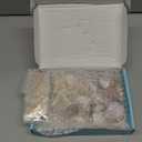 Jangostor Sea Shells Mixed Ocean Seashells, 1.2"-3.5" Various Sizes Beach Seashells and Natural Starfish for Vase Fillers Fish Tank Beach Themed Party Home Wedding Decorations DIY Crafts