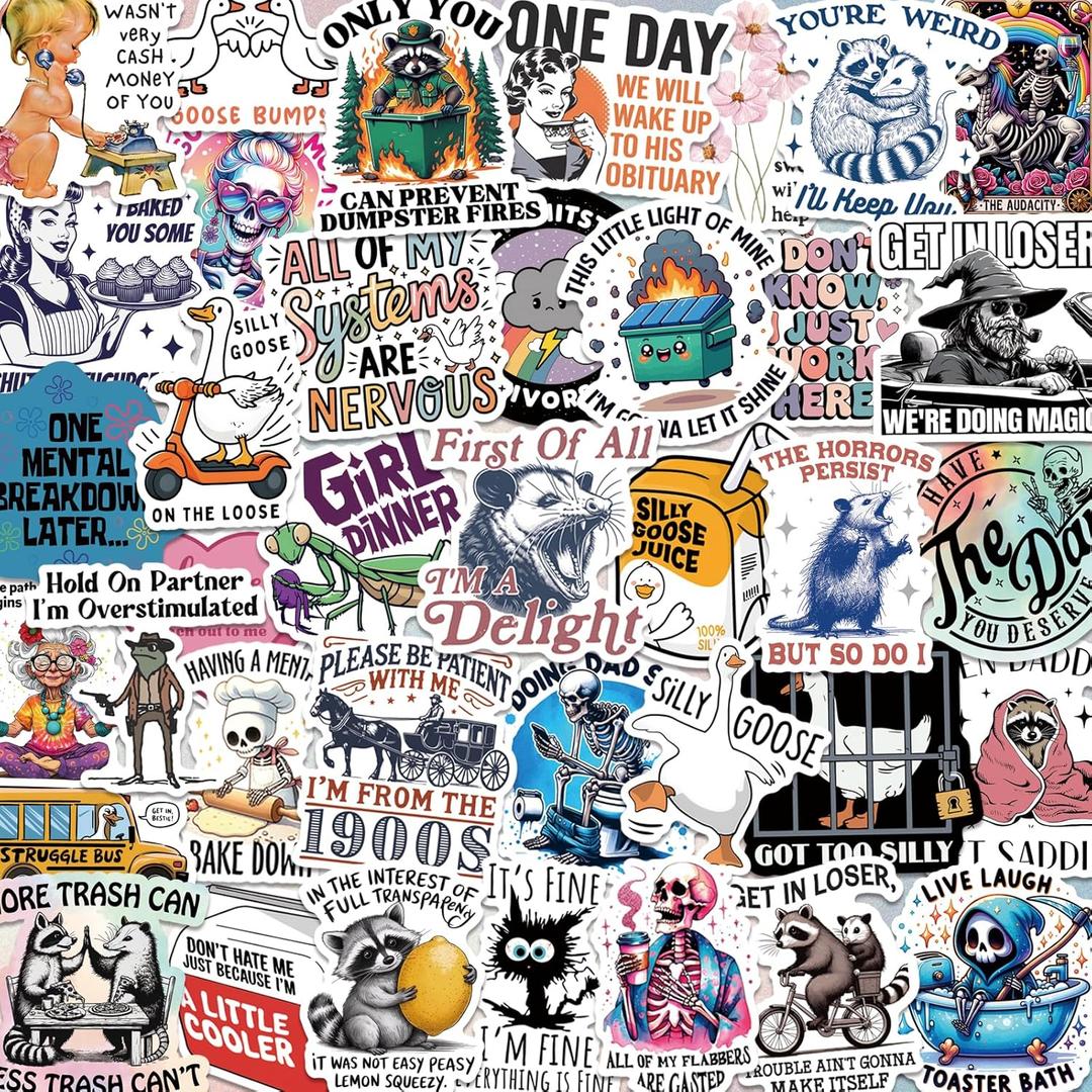200 PCS Funny Holographic Stickers for Adults, Waterproof Vinyl Sarcastic Meme Decals for Laptop, Water Bottle, Phone, Kindle, Journal, Scrapbook, Bumper, Skateboard, Luggage, No Repeats
