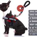 Service Dog Vest Harness and Leash Set, Animire in Training Dog Harness with 10 Dog Patches, Reflective Dog Leash with Soft Padded Handle for Dogs (RED,M)