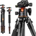 K&F Concept 62" Carbon Fiber Camera Tripod,Portable Compact Tripods with Detachable Monopod,360 Metal Ball Head 15KG/33lbs Load Capacity with Quick Release Plate for Travel and Work A255C2+BH-36L