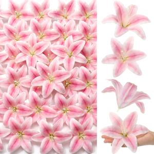 Suncalla 30 Pack Large Artificial Lilies Flower Heads with Realistic Stamens 5.9" Faux Fake Lily Flower Heads Bulk for DIY Crafts Cake Wedding Bridal Wreaths Table Home Party Decor (Pastel Pink)