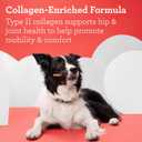 3 x DreamBone CollaYUMS Twists Plus Collagen Rawhide-Free Dog Treats, 20 Count (EXP 01/22/28)