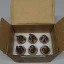 OMED E12 Candelabra LED Light Bulbs 100W Equivalent, 2200K Soft Yellow, Dimmable LED Chandelier Light Bulbs, 7W 1000 Lumen Amber Candle Light Bulb for Living Room, 6 Pack