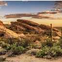 AWERT Reptile Habitat Background Blue Sky Oasis Cactus Sun and Desert Terrarium Background 60x24 inches Durable Polyester Background