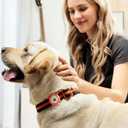 2 x Airtag Dog Collar Holder, Durable & Lightweight Airtag Case, Slide-on Waterproof Protective Air Tag Holder for Dog Collar - for Dogs and Cats (White, Large)