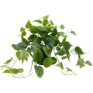 LOYWREE Artificial Scindapsus Aureus Fake Pothos Plants in Black Pots - Realistic Faux Indoor Greenery for Home, Office, Desk, Shelf, Living Room, Bedroom, Balcony, Patio & Garden Decor