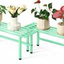 Dipion 2 Pack Metal Plant Stand Outdoor Plant Shelf Indoor,1 Tier Heavy Duty Plant Stands for Multiple Plants,26" L x 10.12" H x 8.75" W,Mint Green