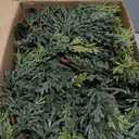 Waydress 1 Pcs 9ft Christmas Cedar Garland Artificial Realistic Soft and Thickness Green Faux Cedar Pine Garland for Home Fireplace Indoor Outdoor Holiday Party Decoration