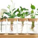 Dahey Plant Propagation Terrarium Desktop Glass Planter Station Water Planting Glass Vase with Lid and Wooden Stand for Propagating Hydroponic Plants Centerpiece Office Home Garden Decor, 4 Pcs (Large)