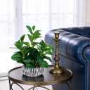 NASAMA Realistic Artificial Potted Plant, Faux Indoor Greenery for Home Office Living Room Bookshelf Bathroom Decor, Low-Maintenance Space-Saving Fake Plants with Modern Decorative Vase