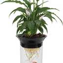 Penn-Plax (APON1) Aquaponic Planter and Aquarium for Betta Fish Tank Promotes Healthy Hydroponic Environment for Plants and Fish