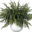 16 Pcs Real Touch Norfolk Pine Branch -18" Artificial Christmas Green Plants Branches Faux Greenery Stem Fake Cedar Pine Picks for Vase DIY Crafts Garland Wreath Xmas Indoor Outdoor Home Decor