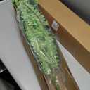 Single Silky Artificial Boston Fern Bush, 49Inch Large Artificial Ferns for Outdoors, Large Faux Ferns Artificial Plants,Suitable for Decorating Office, Living Room Faux Greenery,95Branches