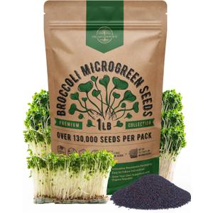 Organo Republic Broccoli Sprouting & Microgreens Seeds - Non-GMO, Heirloom Sprout Seeds Kit, 1lb Resealable Bag for & Growing Microgreens in Soil, Coconut Coir, Aerogarden & Hydroponic
