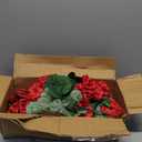 Hananona 12 Pcs Artificial Geranium Flowers for Outdoors Geranium Silk Red Flowers Outdoor UV Resistant Garden Plants Faux Flower for Christmas Home Kitchen Table Centerpieces Decor (12, Red)