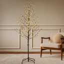 LIGHTSHARE 6FT 240L LED Star Light Tree, for Home Festival Party Christmas, Indoor and Outdoor Use, Warm White