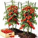 Large Tomato Cages, 24 Inch Tomato Cages for Garden, Plant Support Cages for Tomatoes, Potted Indoor Outdoor Plants, Flower Vine Climbing Plant Tomatoes Trellis, 2 Packs