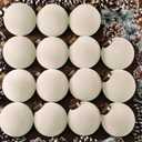 Liliful 15 Pcs Velvet Christmas Balls Bulk Flocked Christmas Tree Ball Ornaments Plastic Xmas Decorative Hanging Ornaments(Creamy White,3.15 Inch)