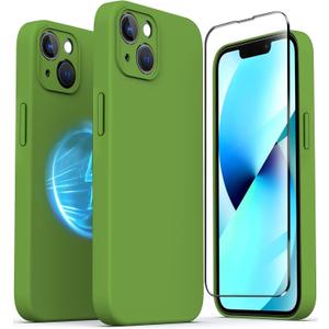 TZGZT Camera Protection for iPhone 12 Tempered Glass, [ Accessories] Magnetic Protective Cover with 2X Screen Protector, Women for iPhone 12, Silicone Green#3 2Pack