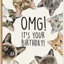 2 x Funny Cat Birthday Card, Birthday Gift for Cat Lovers, Blank Inside, with Kraft Envelope and Gold Seal Sticker
