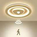 DANSEER 10 Inch Round LED Ceiling Light with Motion Sensor, 850LM 4000K Natural White, Indoor Dome Light, Ideal for Closet, Hallway, Stairsor, Kitchen Pantry Lighting (Gold)