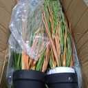 Jexine 4 Pcs 3 ft Tall Artificial Grass Plant Potted Artificial Greenery Floor Plants Faux Pampas Grass Tall in Pot for Housewarming Gift House Garden Bathroom Lobby Outdoor Decoration