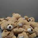 MaoGoLan Bulk Teddy Bear Baby Shower, 10 Packs Small Teddy Bear Stuffed Animals in Bulk,13.5" Small Stuffed Bears Plush for Wedding,Birthday,Christmas, Party Decorations