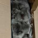 BENVWE Fluffy Faux Fur Throw Blanket for Couch, Soft Plush Thick Cozy Fuzzy Luxury Minky Bubble Blanket for Home Living Room Decor Gift for Women, Tie-dye Coffee, 60" x 80", 1100GSM