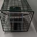 Humane Way Sentinel 24 Inch Live Animal Trap - No Assembly Required - Safe Small Traps for All Animals - Cat, Squirrel, Rabbit, Rodent - 24" L x 7.5" W x 7.5" H