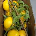 Patelai 10 Pieces Artificial Lemon Branches Yellow Fake Vivid Lemon Decorations Farmhouse Style Table Centerpiece Stem Fruits for Vase Kitchen Party Home Spring Summer Decor, 23.62 Inches