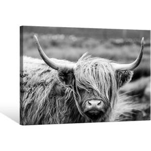 SEVEN WALL ARTS Highland Cow Photography Wildlife Portrait Picture Black and White Closeup Animal Print Scottish Highland Cattle Framed Farmhouse Artwork for Living Room Bedroom Office Decor 36"x24" (36L" x 24W", Highland Cow)