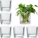 Set of 6 Square Glass Vases for Centerpieces 4" x 4" x 4" Clear Short Vases, Flower Vase, Plant Terrariums, or Candle Holders for Wedding Centerpieces, Office Decor, Home Dcor, Parties