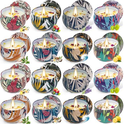 8 Pack Soy Wax Scented Candle Gift Set, Bulk Value Aromatherapy Candles with Fresh Green, Sea Salt & Sage, Coconut Vanilla, Lemon, Ocean Breeze, Vanilla, Lavender & Berry Scents – Gifts for Women