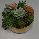 DILATATA Artificial Succulent Plants in Pot 5.5 Inch Fake Succulents Arrangement Potted Plant in Gold Ceramic Planter Bowl for Home Office Desk Shelf Living Room Bedroom Bathroom Decor