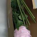 hailanbao Pink Artificial Roses with Long Stems, 12Pcs Realistic Roses Artificial Flowers, Faux Roses | Bulk Fake Flowers for Home Decor, Wedding Party Table Centerpieces, DIY Bouquet