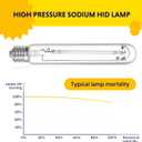 iPower 400W Digital Dimmable Electronic Horticulture Ballast with Pressure Sodium HPS Grow Light Bulb for Indoor Plants Growth