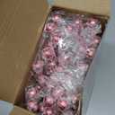 Censen 36 Packs Snow Frosted Artificial Berry Stems 8 Inch Snowy Christmas Red Spray Picks Holly Berry Branches for Christmas Tree Decoration Holiday DIY Crafts Ornaments Home Decor (Rose Pink)