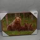 18x12 Bear Lake Printed Glass Frame