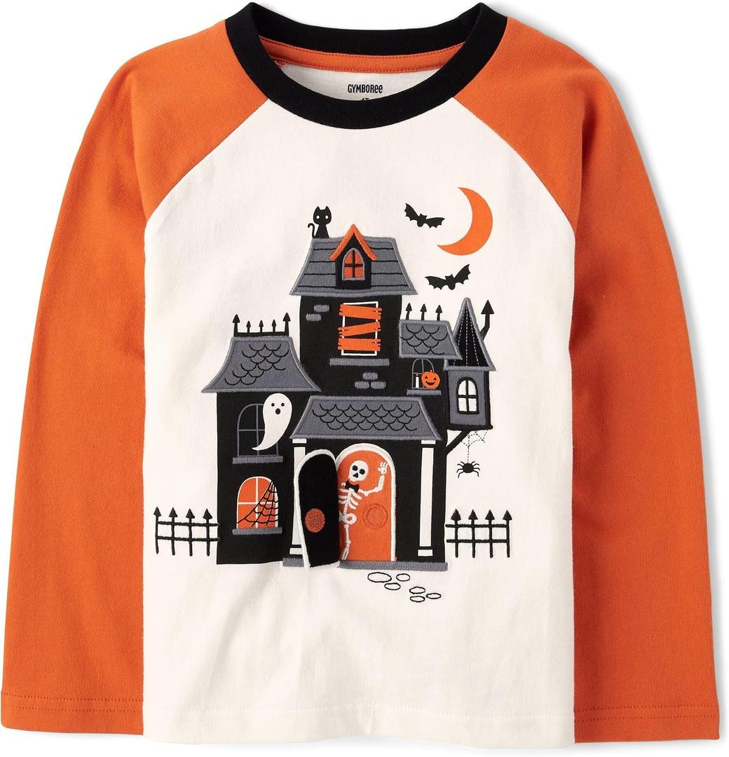 Gymboree Boys' and Toddler Embroidered Graphic Long Sleeve Raglan T-Shirts, Bunnys Tail, 2T
