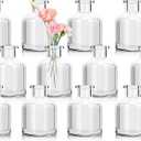 12Pcs Bud Vases,Clear Glass Bud Vase,Living Bud Vases Bulk,Mini Flower Vases,Small Vases for Flowers Centerpieces Home Living Room Office Table Decor (2 x 2.8 in)